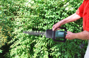 Hedge Trimming W1