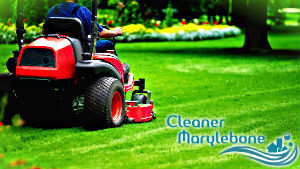 grass-cutting-marylebone
