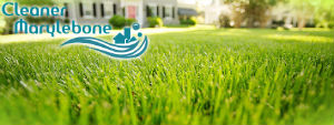 grass-cutting-services-marylebone