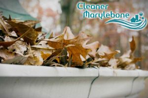 gutter-cleaners-marylebone