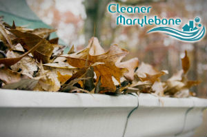 gutter-cleaners-marylebone